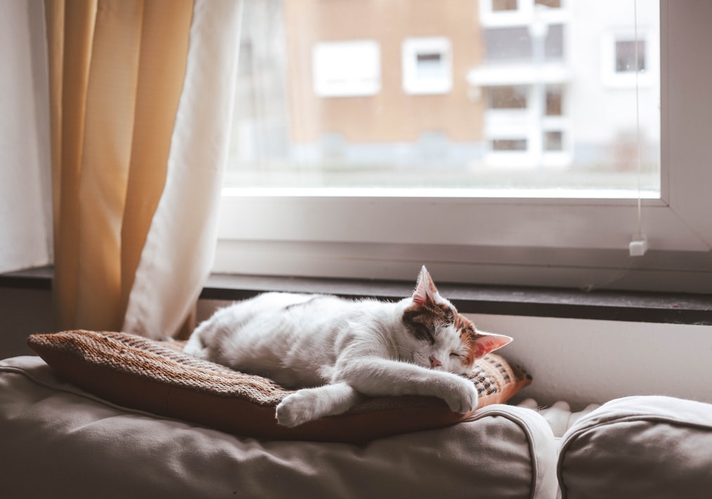 How an energy efficient home saves you money long term