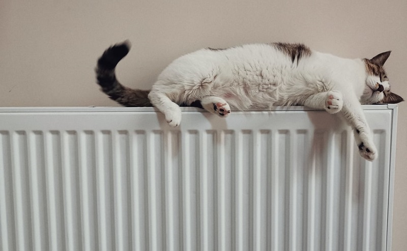 A central heating radiator in a home