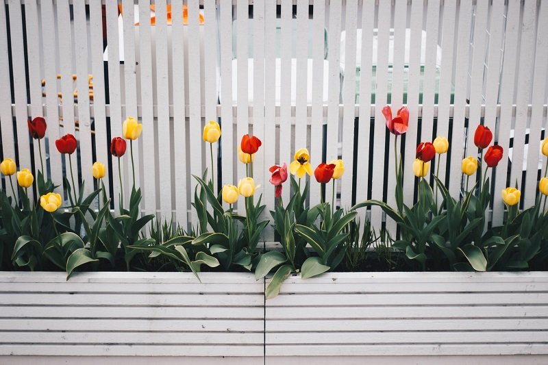 A fence planter filled with flowers in a garden
